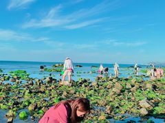 -海驴岛(荣成市)