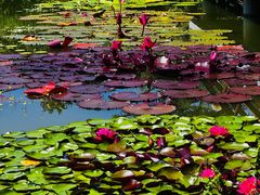 -国家植物园南园