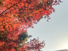 -杭州半山国家森林公园