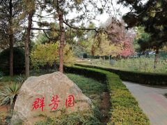 -黄村公园