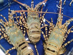 -三亚火车头万人海鲜广场