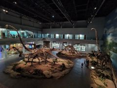 -自贡恐龙博物馆