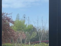 -太湖饭店玉兰厅(自助餐厅)