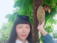 -云顶高原