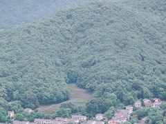 -灵顺寺