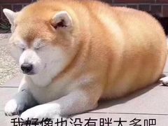 -棒约翰比萨·意面(金桥国际店)