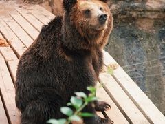 -海南热带野生动植物园