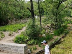 -白水寺森林公园