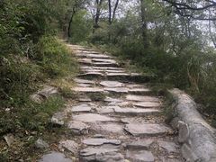 -阳台山自然风景区