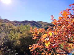 -香山公园