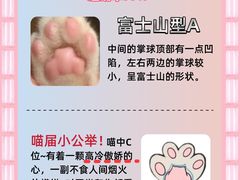 -翊宠yipet猫狗购宠庄园犬舍•猫舍