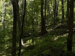 -帽儿山风景区
