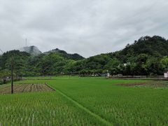-绩溪龙川景区