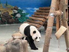 -柳州市动物园
