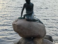 -美人鱼