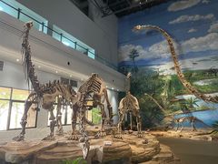 -自贡恐龙博物馆