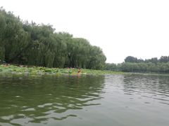 -WhaleSports户外水上运动俱乐部(朝阳公园店)