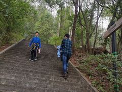 -神光山国家森林公园