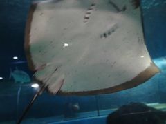 -苏州海洋馆