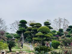 -南宁南湖公园
