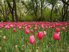 -好利来(新建北路店)
