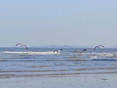 -ChanDu躔度咖啡(灯塔店)