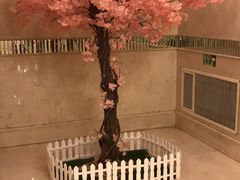-美林大浴场(奥体中心店)