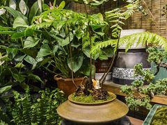 -双季花艺园艺市场(浦东店)