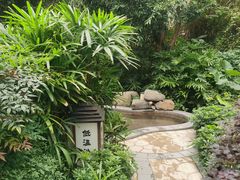 -汇雅温泉