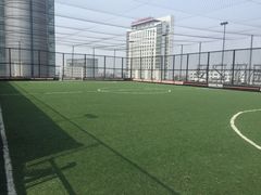 -洛克公园·篮球·足球·羽毛球(莘庄店)