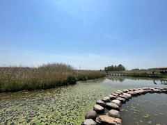 -宁波杭州湾国家湿地公园