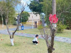 -广州神农草堂中医药博物馆