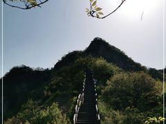 -大岭沟猕猴桃谷风景区