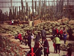 -南通洲际绿博园