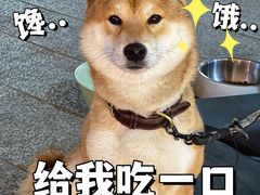 -程咬金小馆