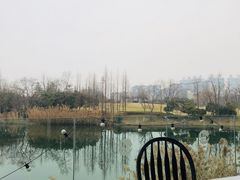 -千叶创意融合料理(水韵城店)