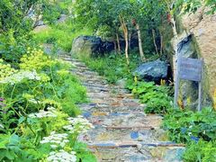 -白草畔自然风景区