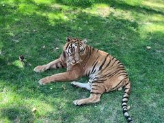 -北京野生动物园