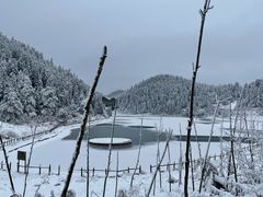 -武陵山森林公园