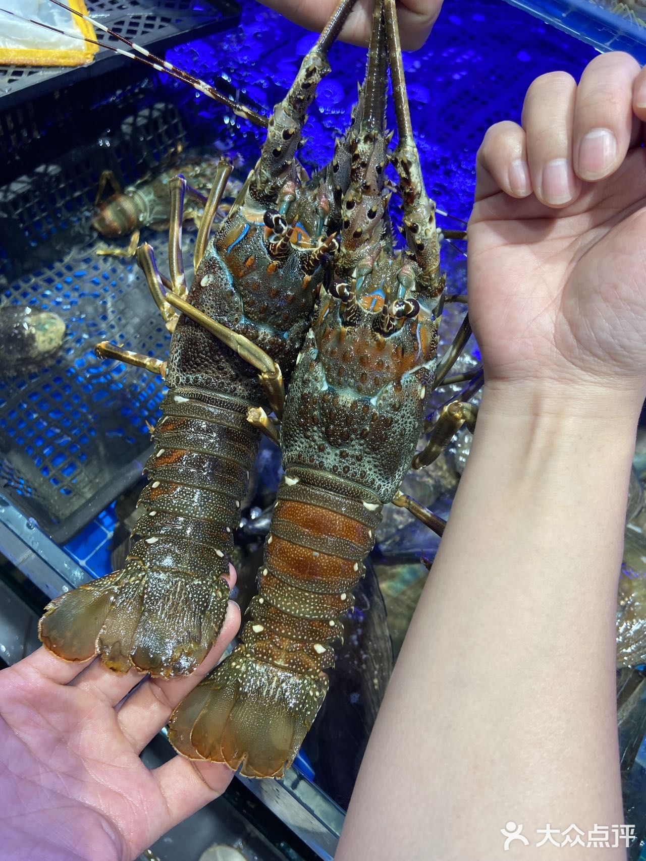 厦门集美！新开的！！好好吃的海鲜火锅[流泪]