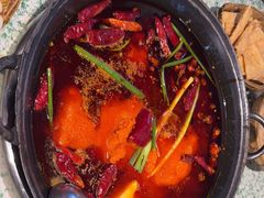 -五里关火锅(牛市口店)