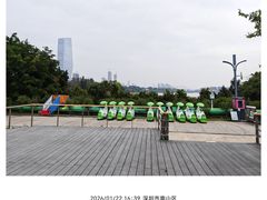 -华侨城湿地公园