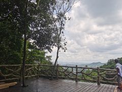-大屏嶂森林公园
