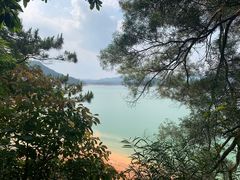 -广州市流溪河国家森林公园