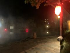 -雅安楠水阁温泉酒店