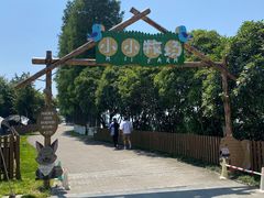 -太阳岛度假酒店