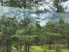 -莫尔道嘎国家森林公园