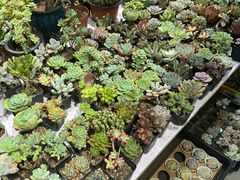 -香炉礁家具市场