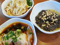 红油抄手-龙抄手(春熙路总店)