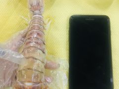 -沙田台山海鲜·酣客酒窖